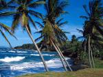 oceans_084