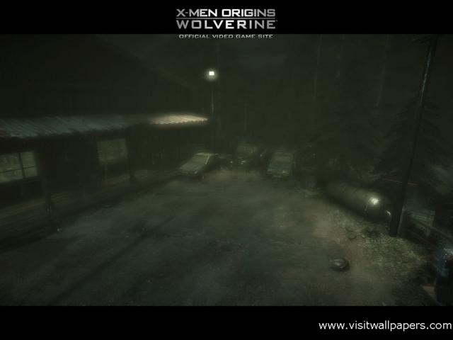 wolverine_46