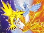 Pokemon_050