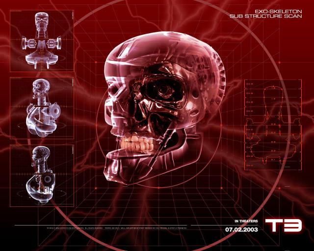 terminator_33