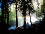 rainbow_14