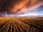 rainbow_22