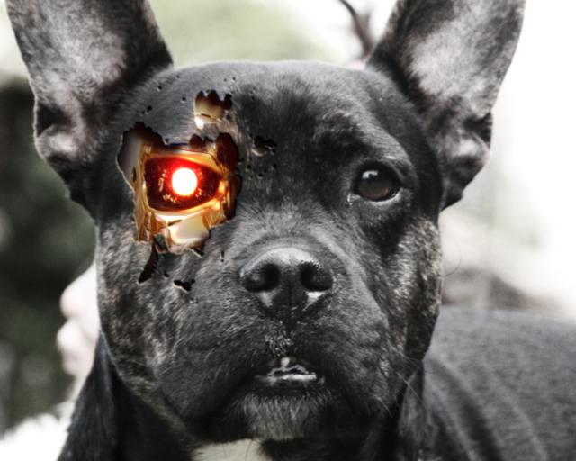 terminator4_189