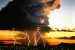 force_of_nature_12