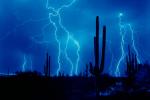 force_of_nature_19