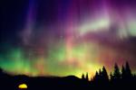 force_of_nature_20