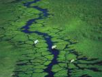 Aerial_view_027