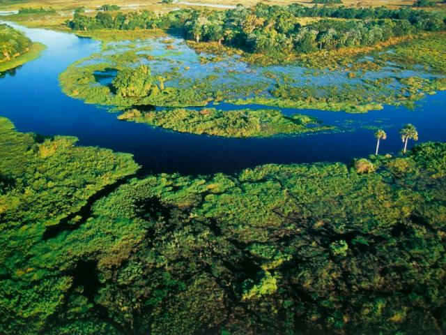 Aerial_view_100