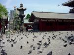 Asakusa_Temple_06