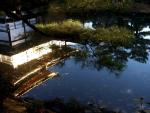 Kinkakuji_03