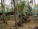 watwaphukaew18