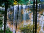china_175