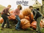 harry_potter042