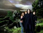 POA-Snape&Trio