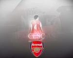 arsenal_16