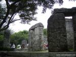 shenzhen_041