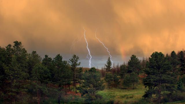 force_of_nature_48
