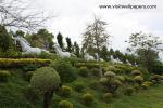 luangta_05