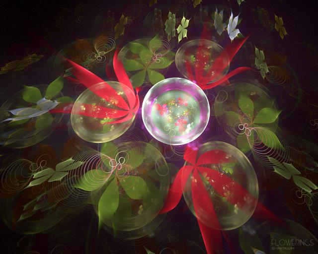 Flowerings_035
