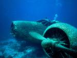 ocean-life-437