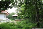 waphukaew_48