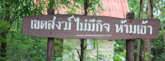 waphukaew_66