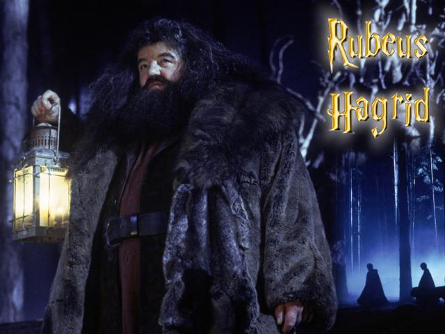 hagrid