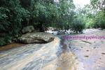 waphukaew_81