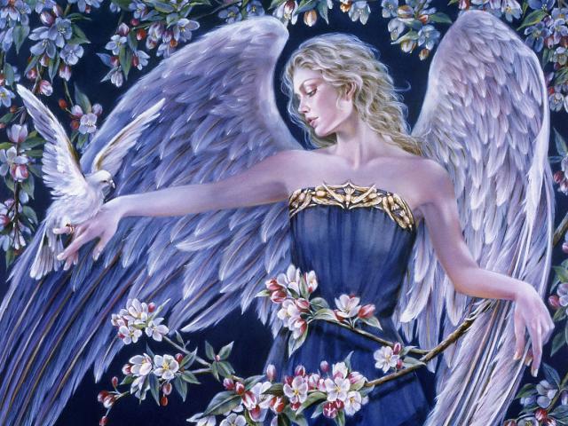 Fantasy_224
