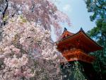 Japan_Temple_03