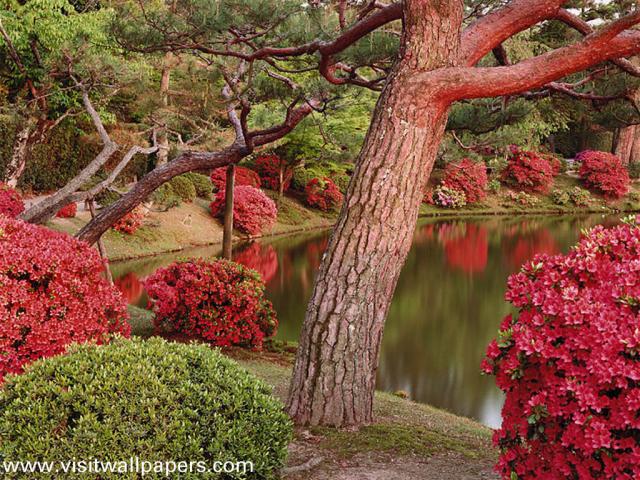 Japan_Temple_05