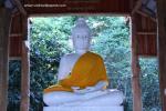 dham_family2_013