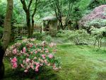 Garden_042