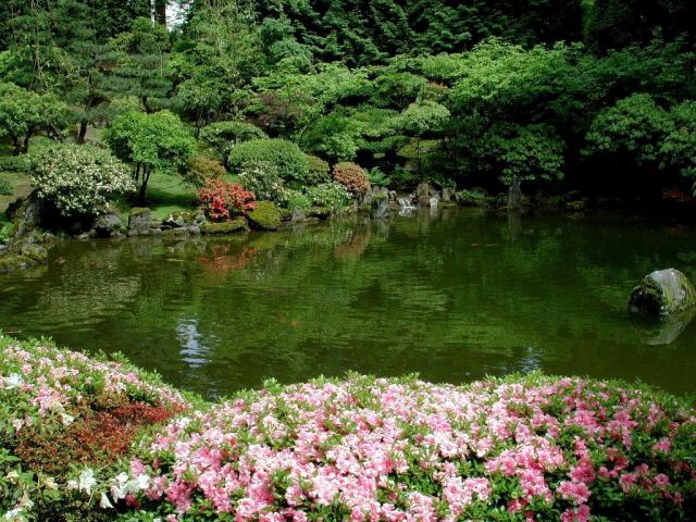 Garden_043
