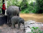 thailand_113