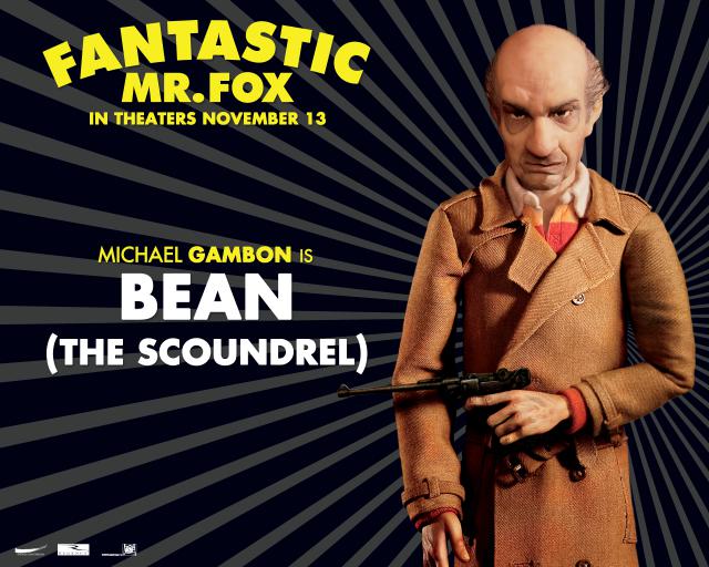 fmf_bean