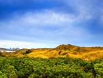 windows_7_333