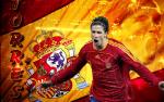 worldcup2010_106