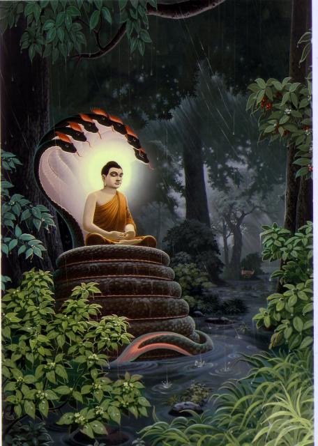 buddha017