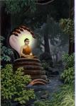 buddha017