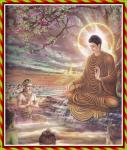 buddha072