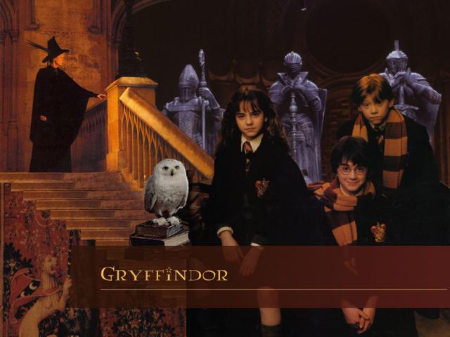 harry_potter107