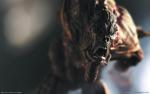 Monster_060