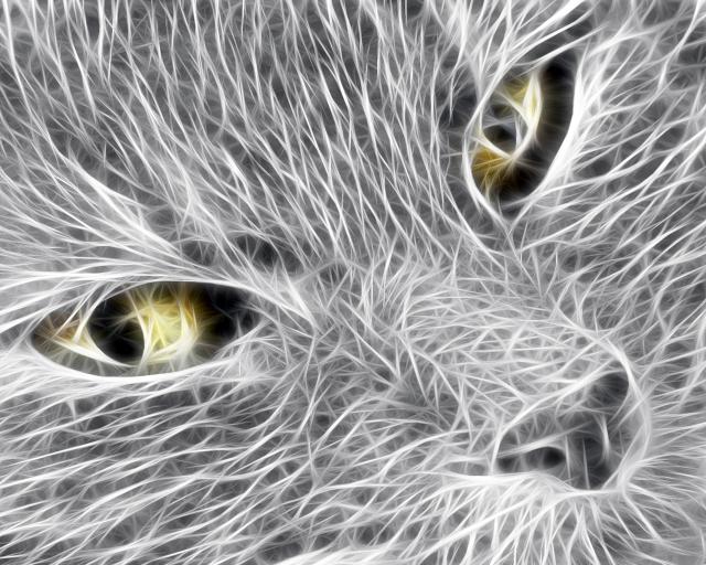 Animals_278