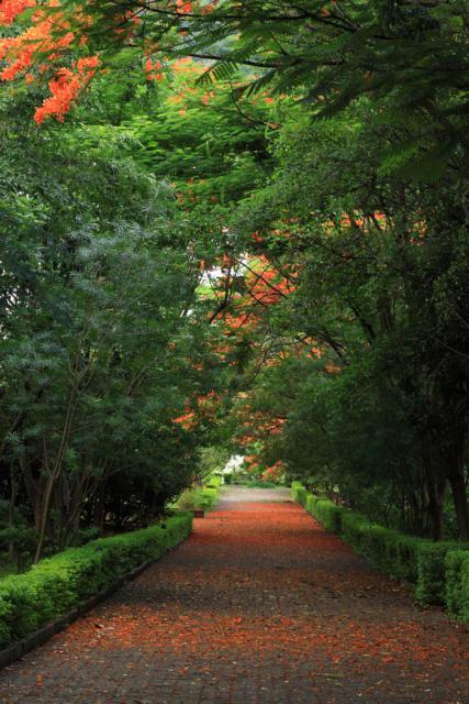 taitong_009