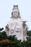taitong_042