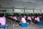 waphukaew10_111