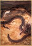 Thehobbit_02