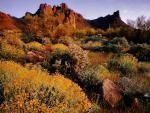 mountains_206