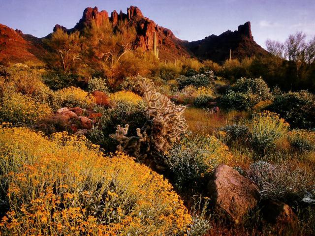 mountains_206